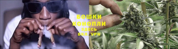 наркотики Бородино