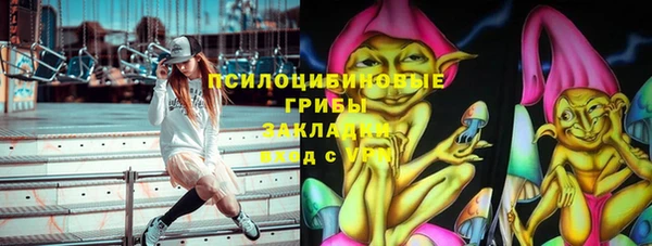 наркотики Бородино