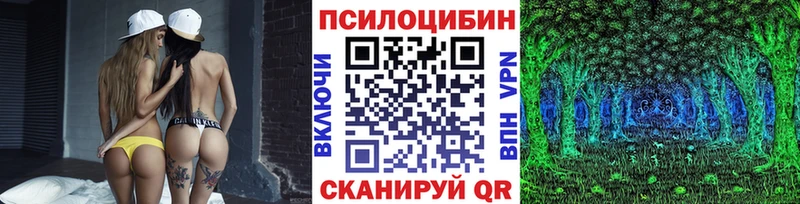 Псилоцибиновые грибы прущие грибы  закладка  Семёнов 